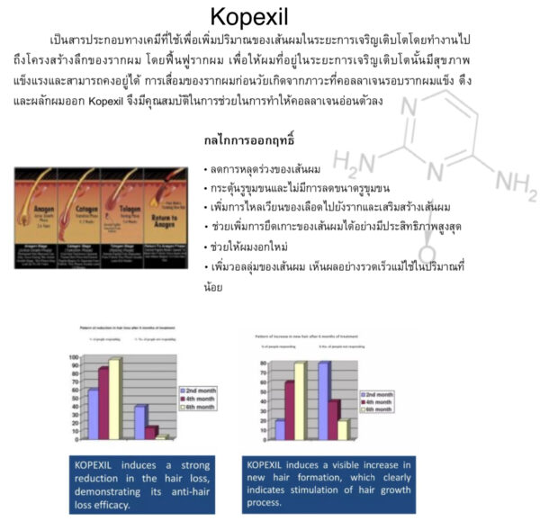 HAIRTIVE SPRAY(แฮร์ทีฟ สเปรย์) ลดผมร่วง,ลดผมบาง - Image 4